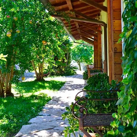 Ars Naturae *
