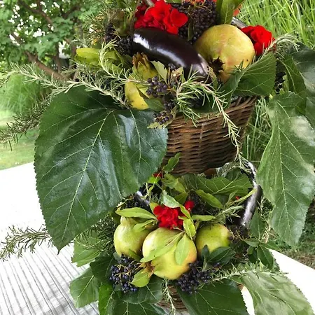 Ars Naturae Farm stay Rome